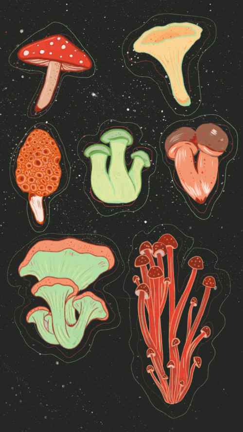 Mushroom Wallpaper - NawPic