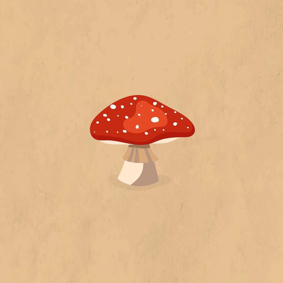 Mushroom Desktop Wallpaper