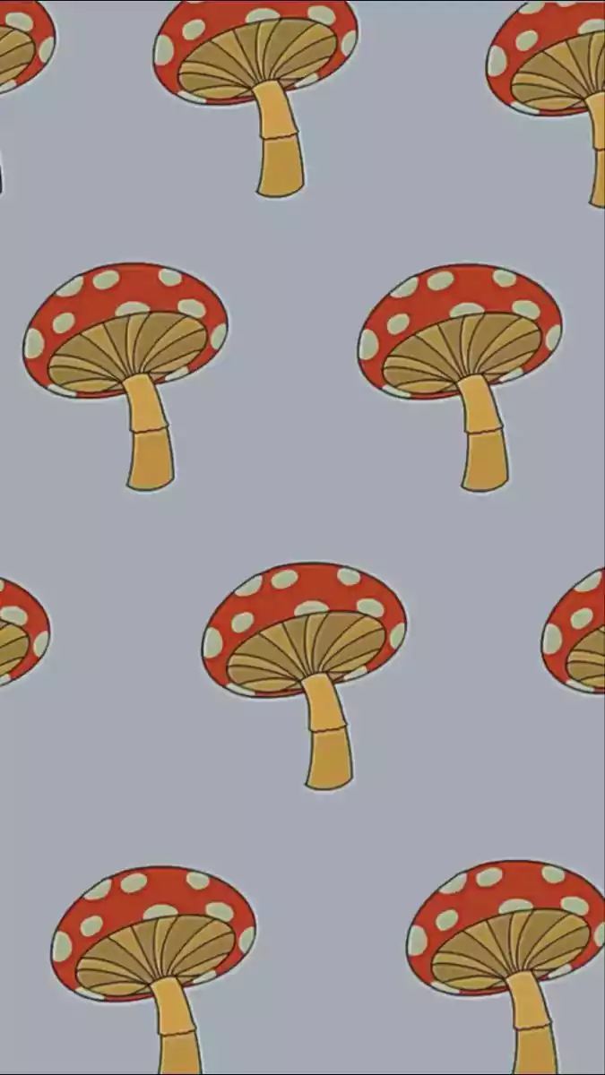 Mushroom phone Wallpaper