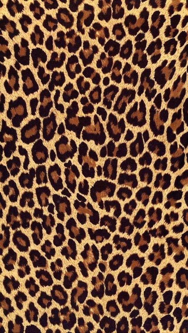 Leopard Print Fabric Wallpaper and Home Decor  Spoonflower