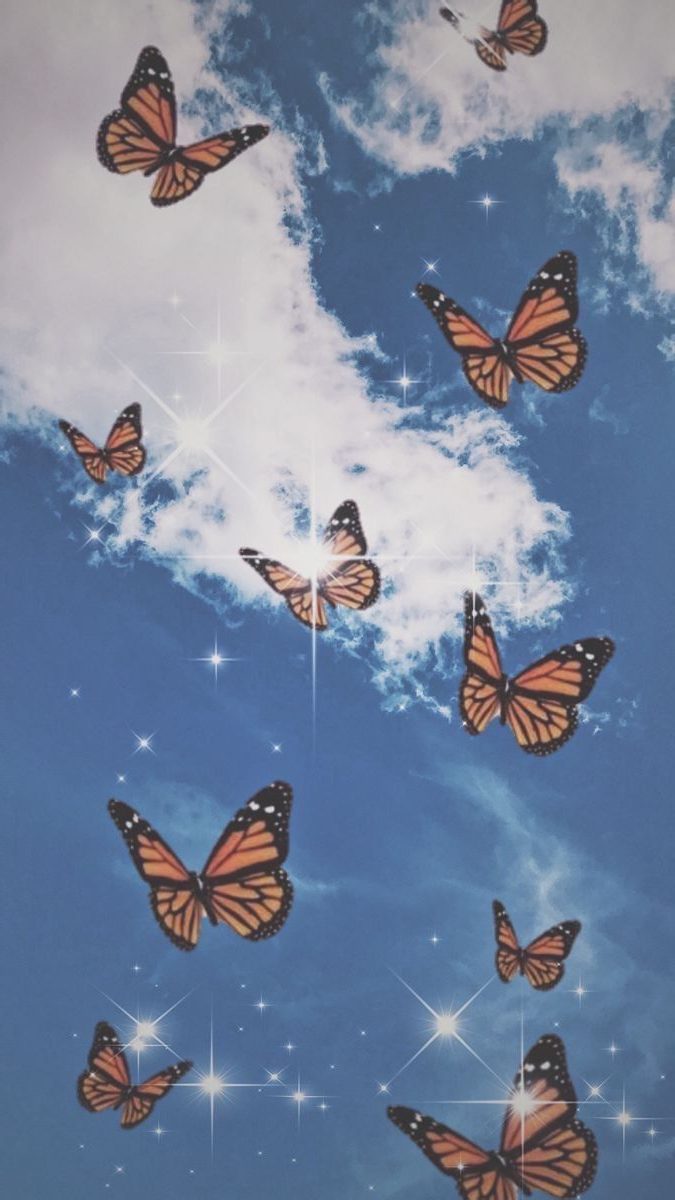 Butterflies on blue background  Idea Wallpapers  iPhone WallpapersColor  Schemes