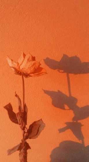 Orange Aesthetic Wallpaper - NawPic