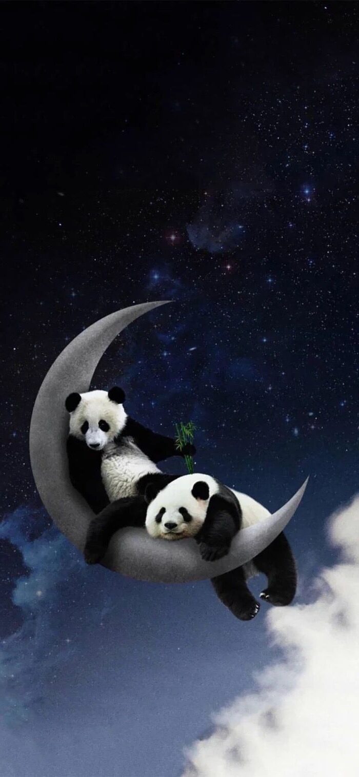 Panda Wallpaper - NawPic