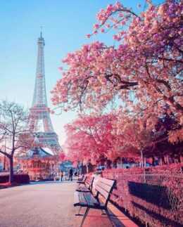 Paris Wallpaper