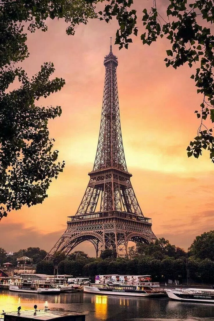 Wallpaper ID: 435561 / Man Made Eiffel Tower Phone Wallpaper, Monument,  Blossom, France, Pink Flower, Paris, 750x1334 free download