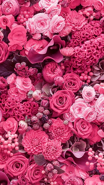 Pink flower Wallpaper