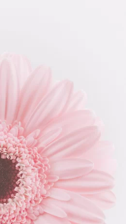Pink iphone Wallpaper