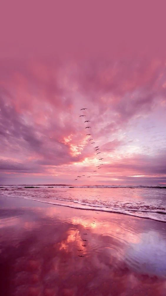 Pink iphone Wallpaper