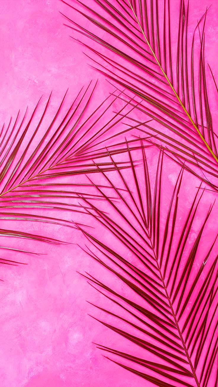 Pink iphone Wallpaper