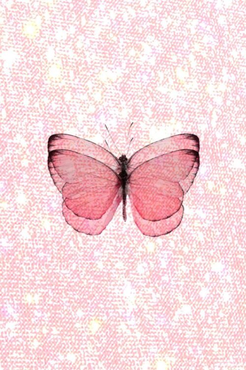 Pink Laptop Wallpaper