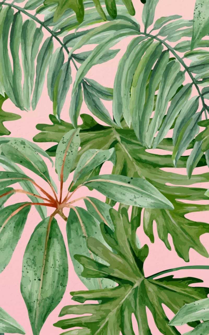 Plant Aesthetic Wallpaper - NawPic