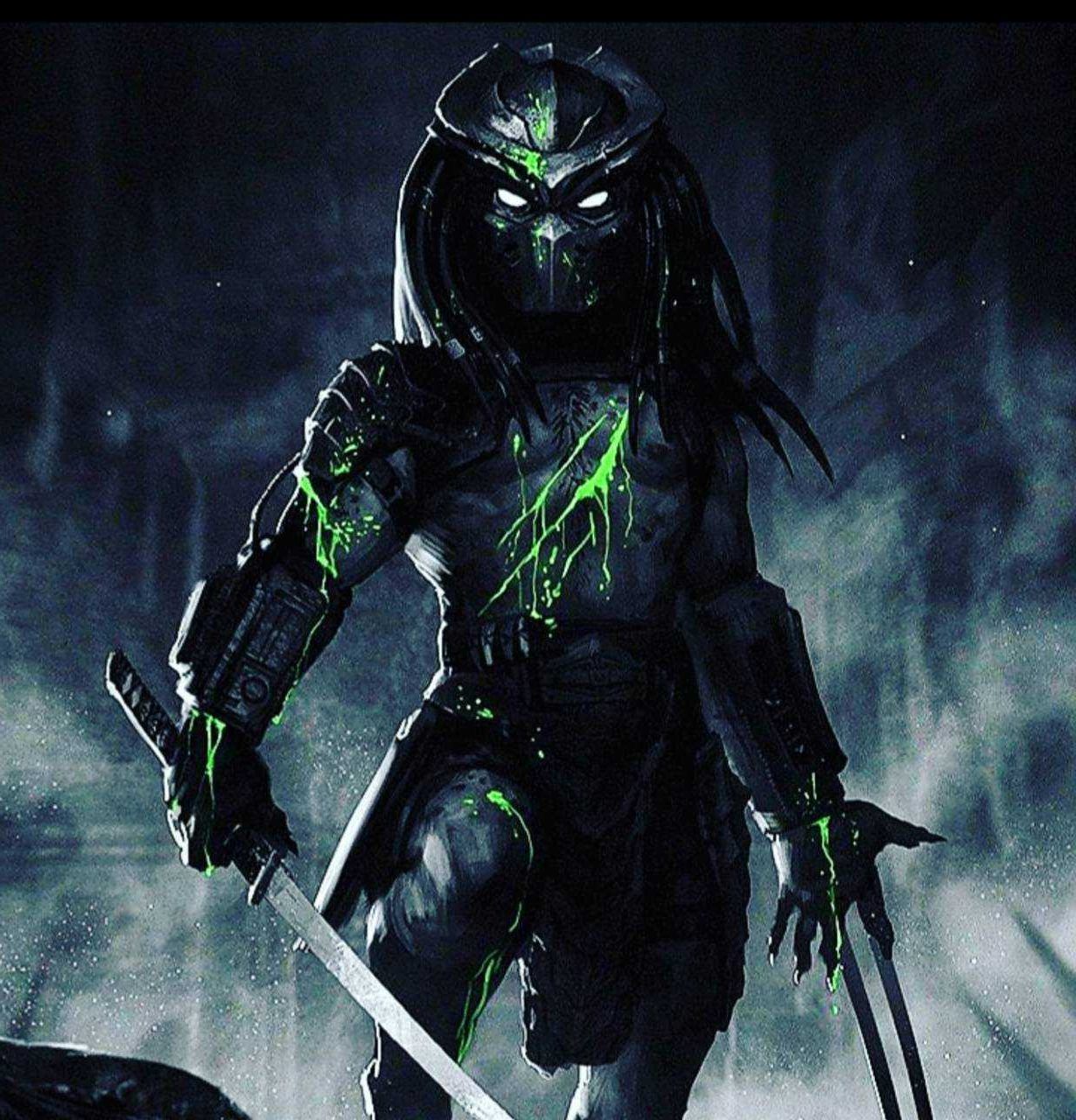 200+ Predator HD Wallpapers and Backgrounds