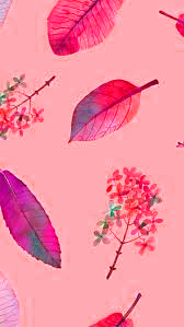 Pink Fall Wallpapers  Wallpaper Cave