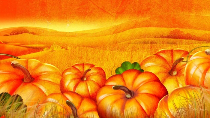 Pumpkin Patch Wallpaper