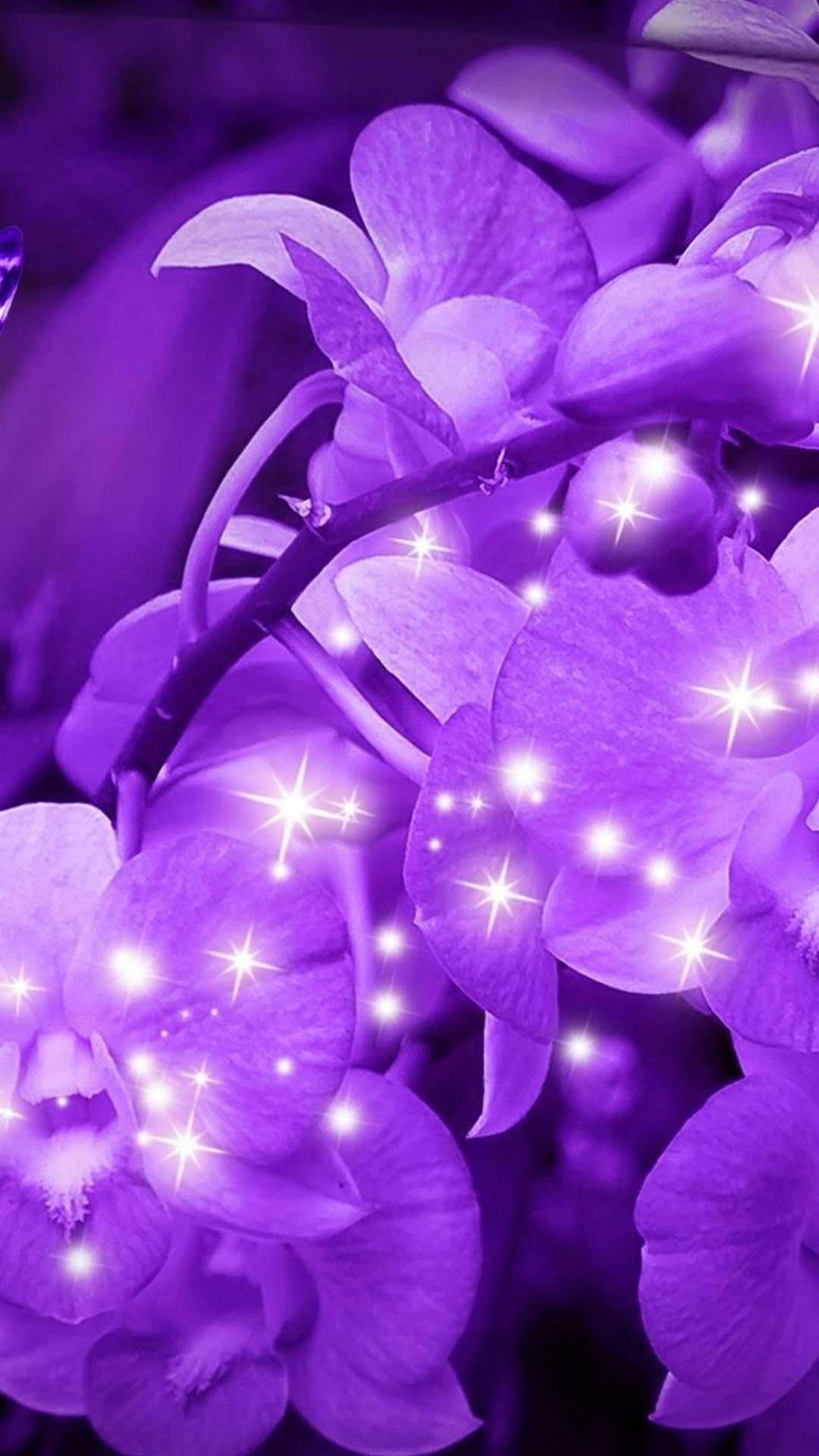 Purple Flower Wallpaper - NawPic
