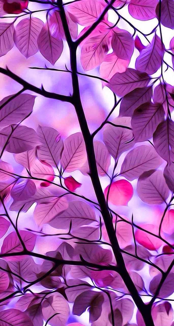 purple leaves | Nature iphone wallpaper, Purple wallpaper, S8 wallpaper