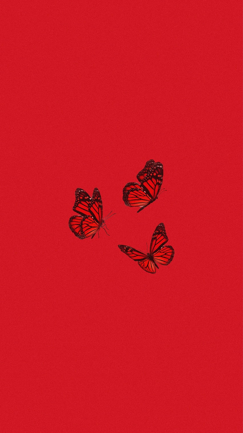 Red Iphone Wallpaper