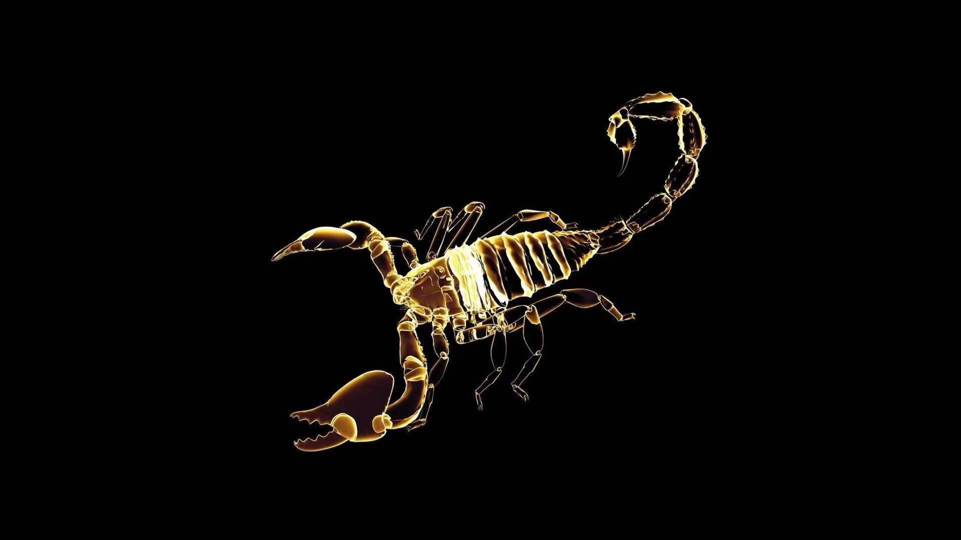 Premium Photo | Scorpion zodiac sign on space background generative ai