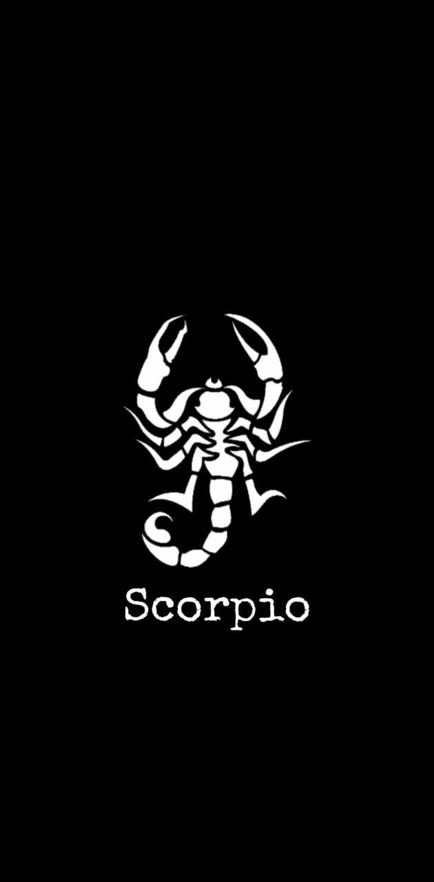 75+] Scorpion Wallpaper - WallpaperSafari