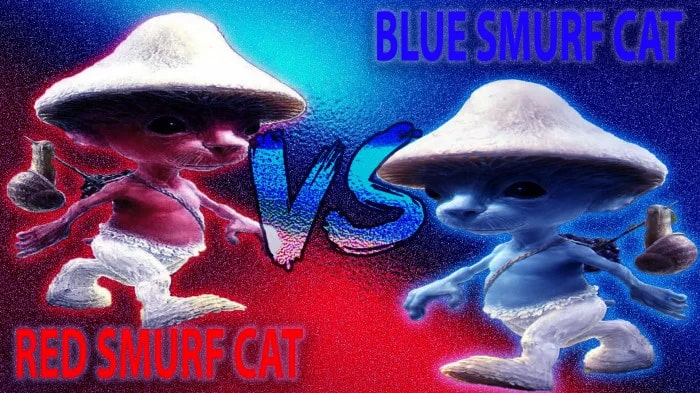 Smurf Cat Wallpaper
