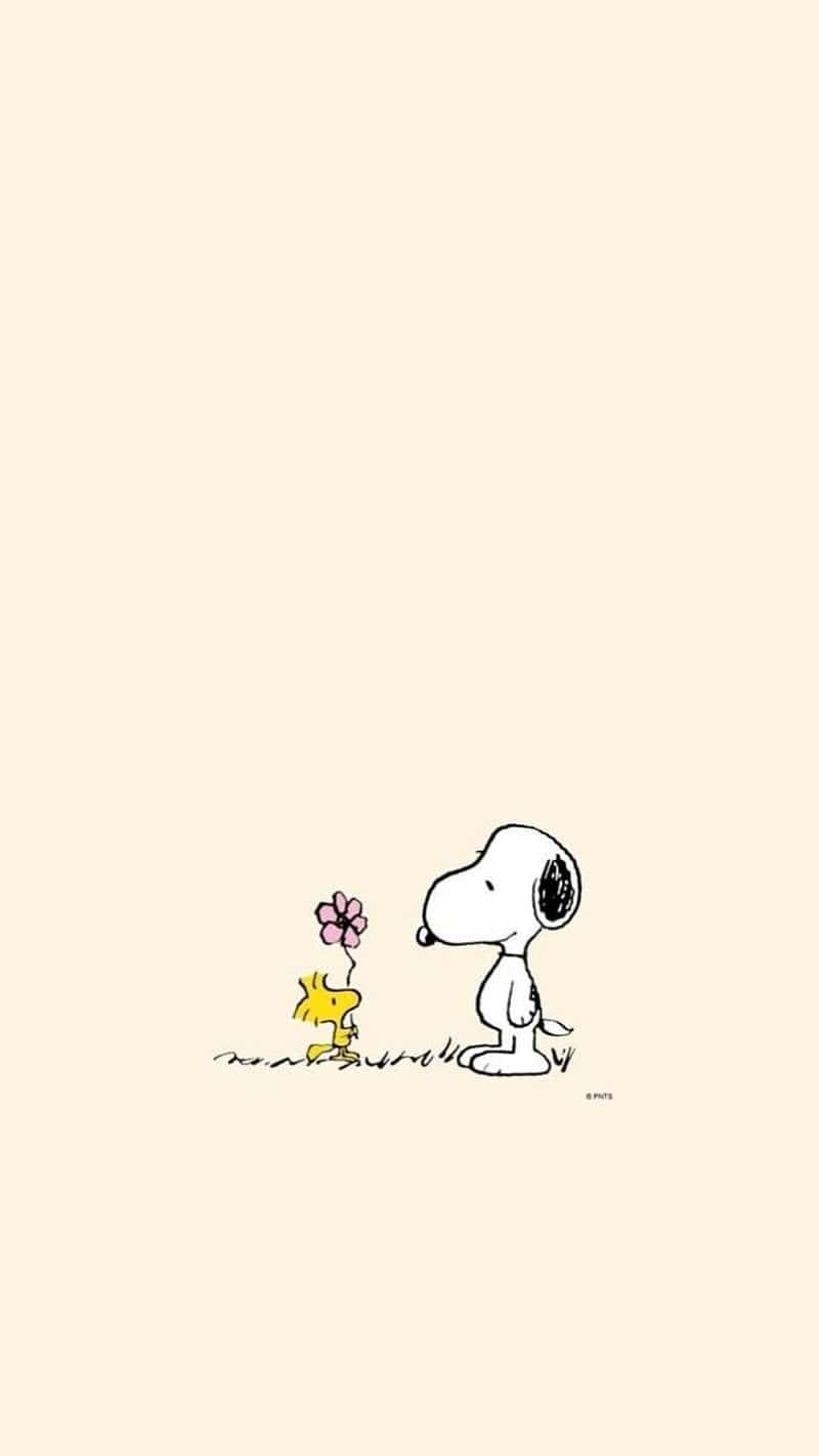 Snoopy Wallpaper - NawPic