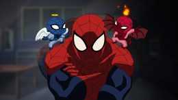 Spider Man Wallpaper Spider Man Wallpaper