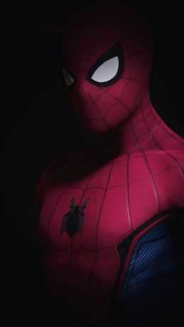 Spider Man Wallpaper Spider Man Wallpaper