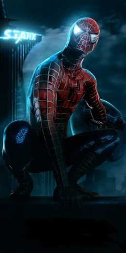 Spider Man Wallpaper Spider Man Wallpaper