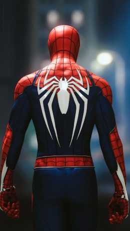 Spider Man Wallpaper Spider Man Wallpaper