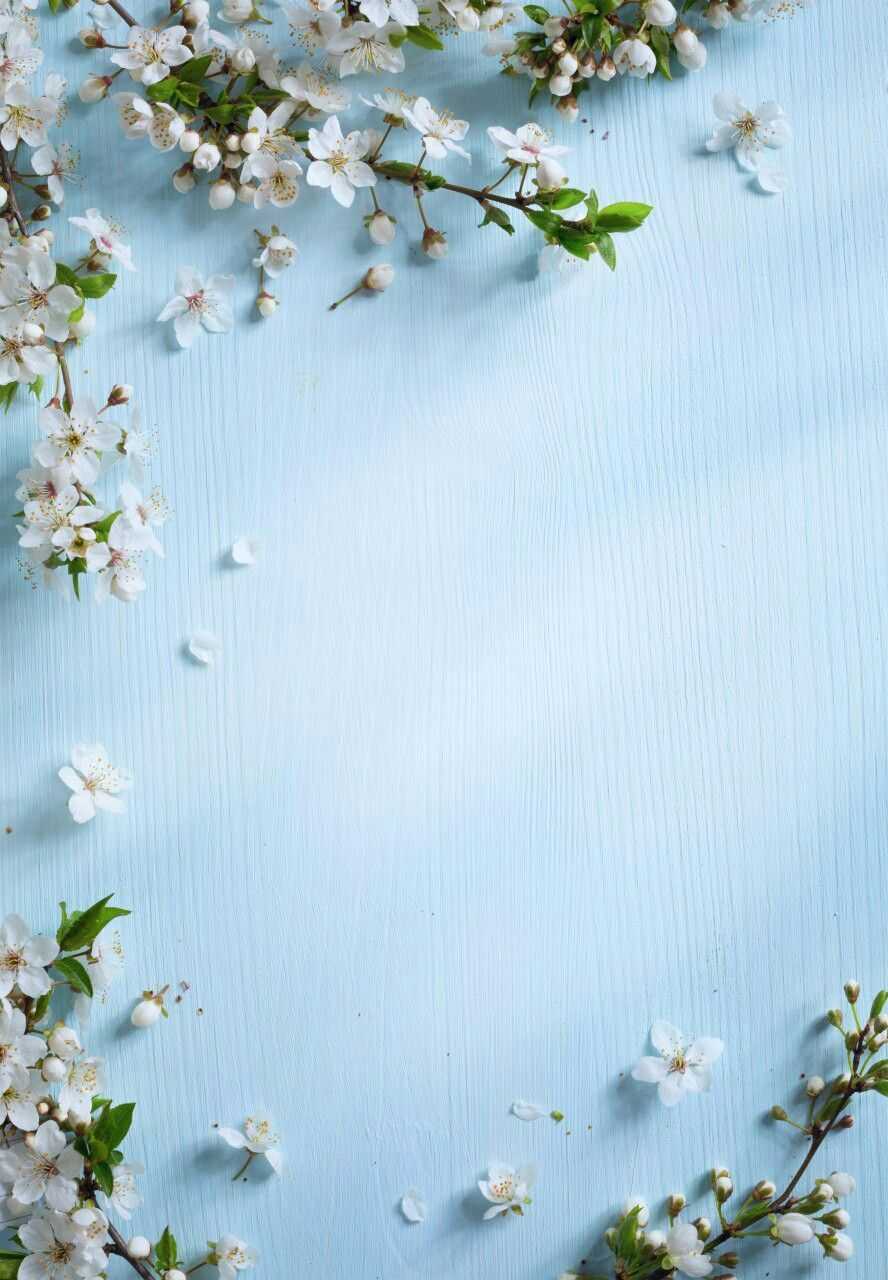Spring Background Wallpaper - NawPic