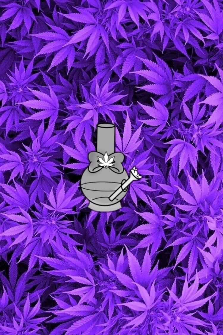Free download Sick Weed Wallpapers Hd [564x564] for your Desktop, Mobile &  Tablet | Explore 47+ HD Stoner Wallpapers | Stoner Wallpaper, Trippy Stoner  Wallpaper, Stoner Wallpapers Tumblr