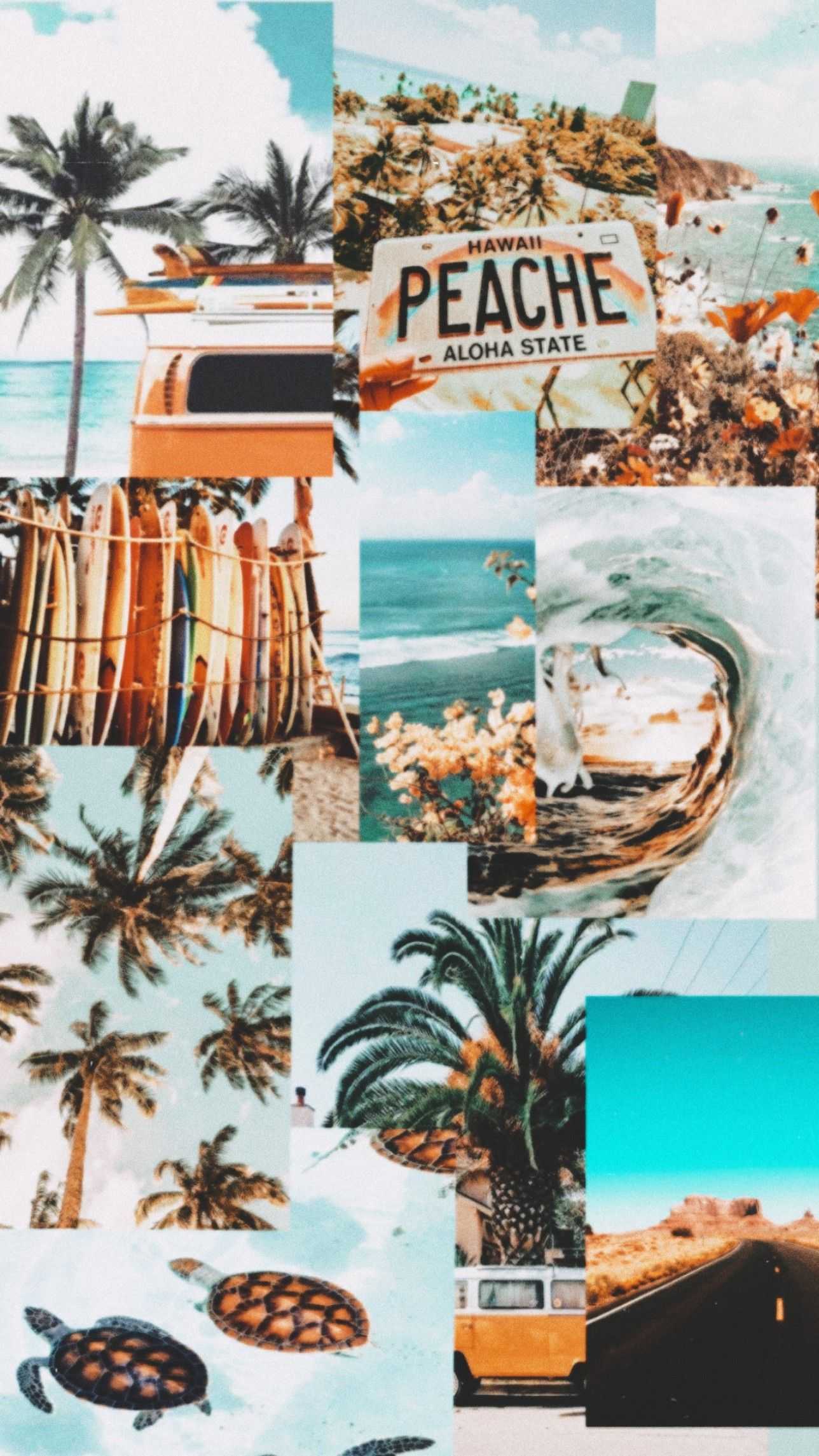 Summer Vibes Wallpaper - NawPic
