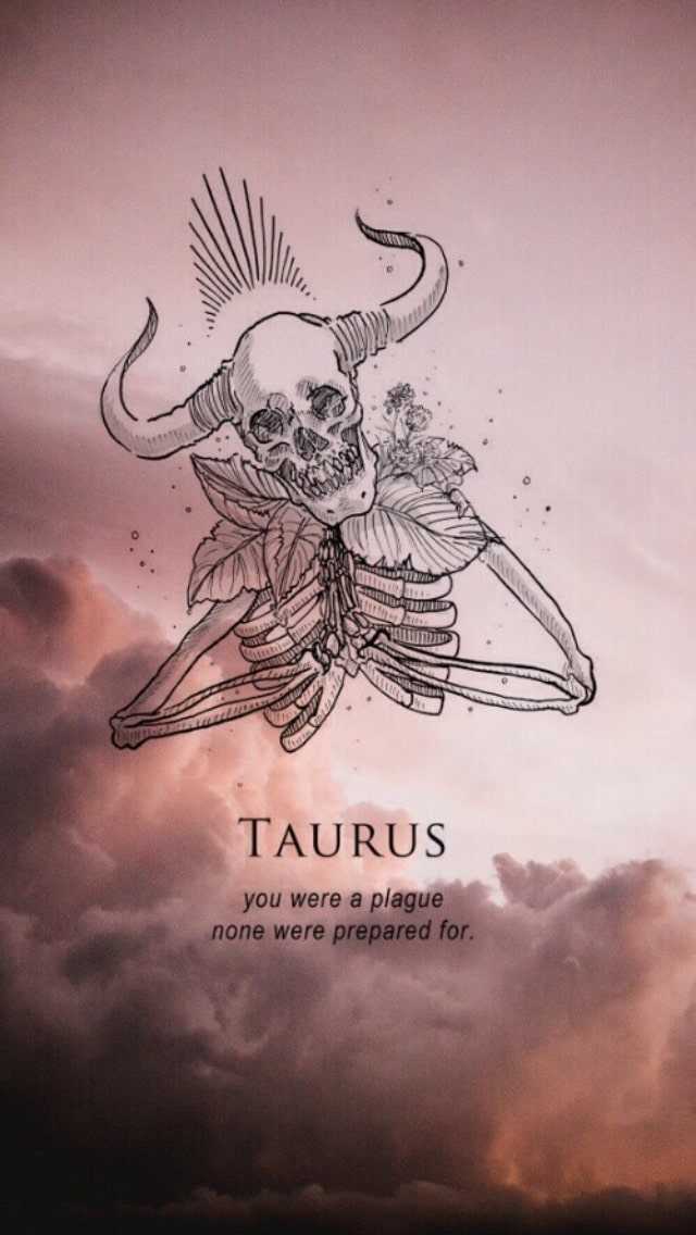 Taurus Images  Browse 113458 Stock Photos Vectors and Video  Adobe  Stock