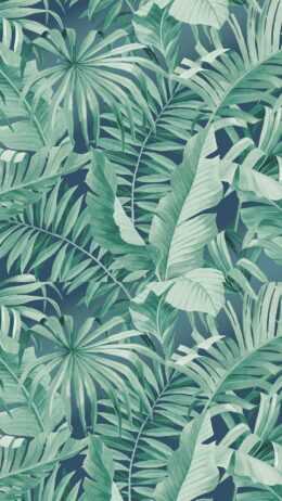 Tropical Wallpaper
