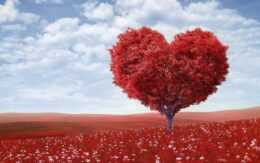 Valentines Day Wallpaper