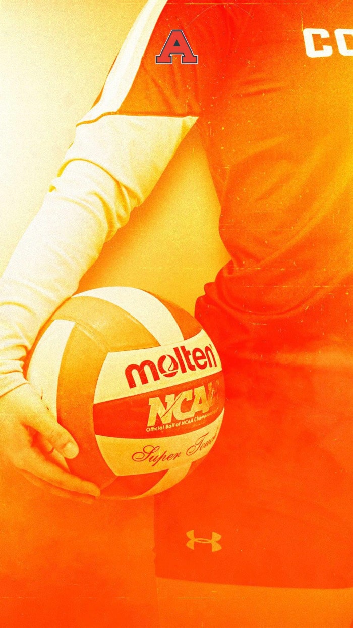 Volleyball Wallpapers Group (63+)