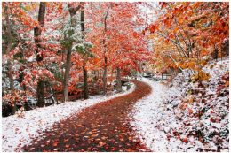 Winter Background Wallpaper Winter Background Wallpaper