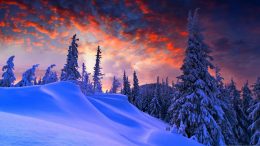Winter Background Wallpaper Winter Background Wallpaper