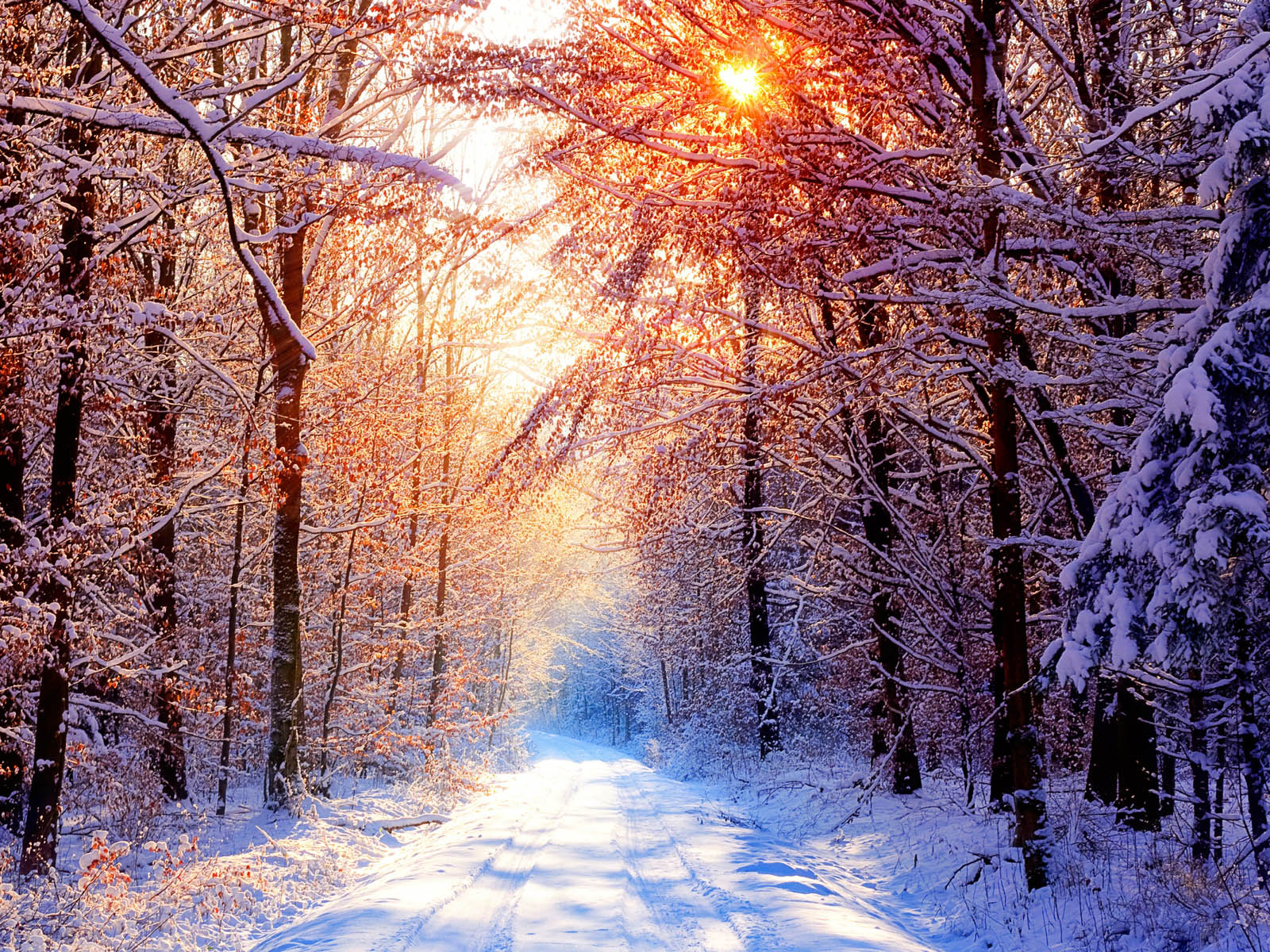 Winter Background Wallpaper - NawPic