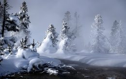 Winter Background Wallpaper Winter Background Wallpaper