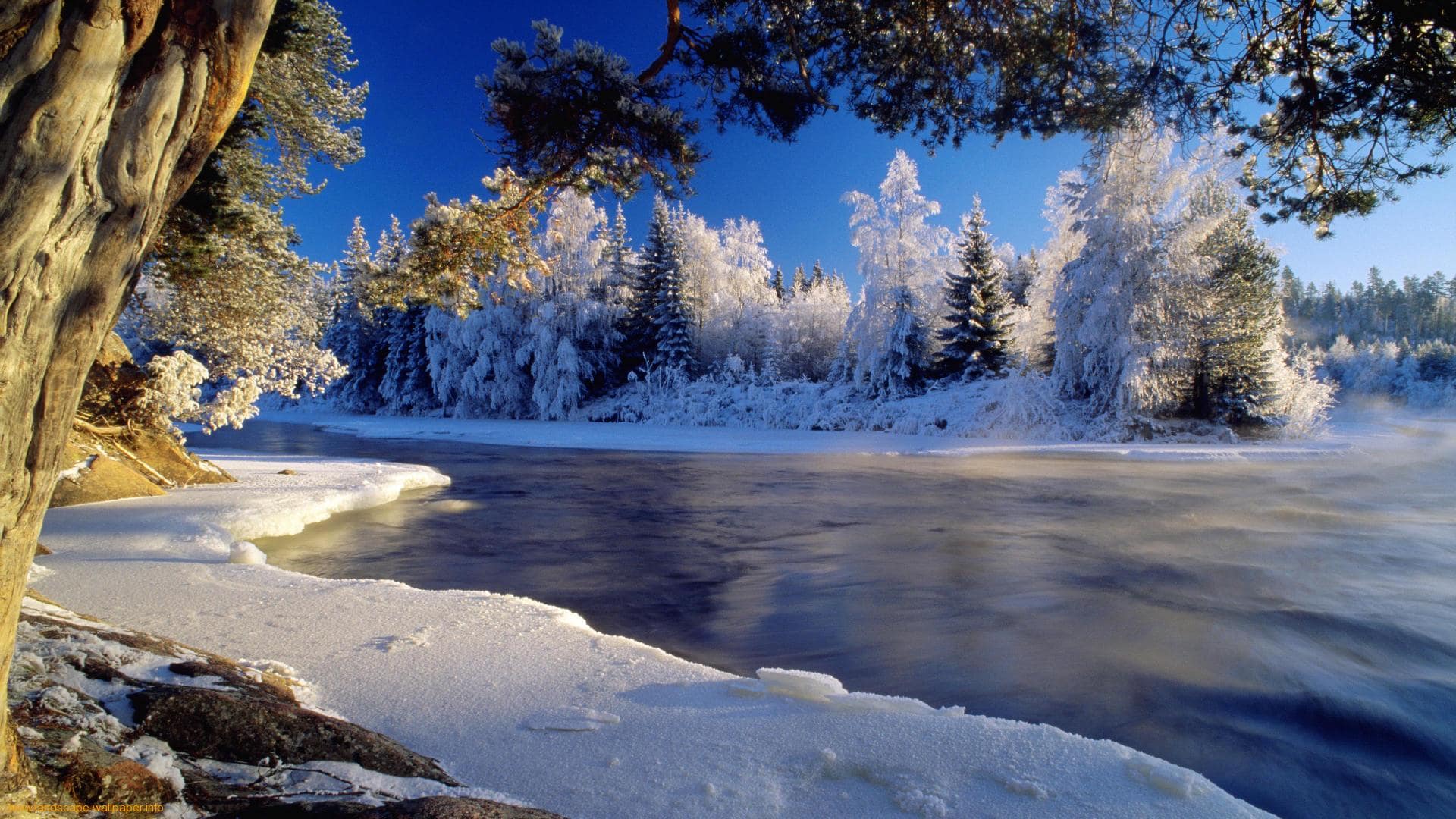Featured image of post Hintergrundbilder Winter Kostenlos Mit unserem wintermix holen sie sich die kalte jahreszeit ganz einfch auf winter hintergrundbilder