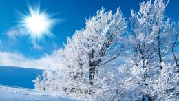 Winter Wallpaper Winter Wallpaper