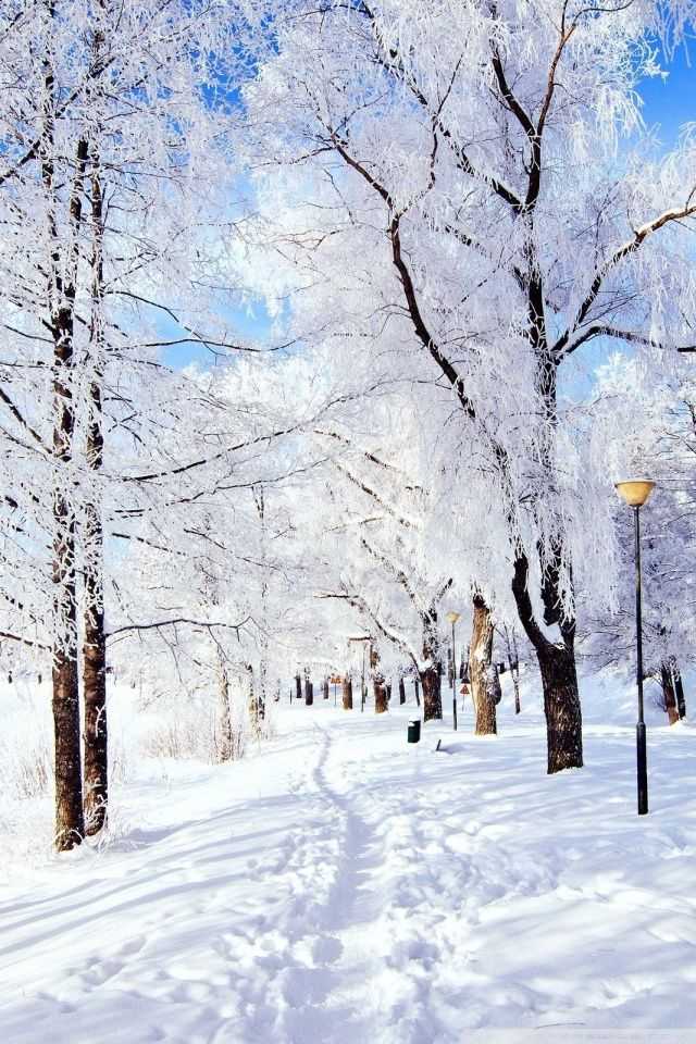 Winter Wonderland Wallpaper - NawPic
