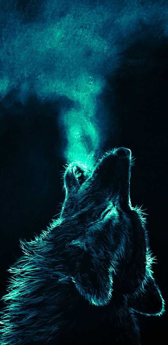 Wolf Background Wallpaper