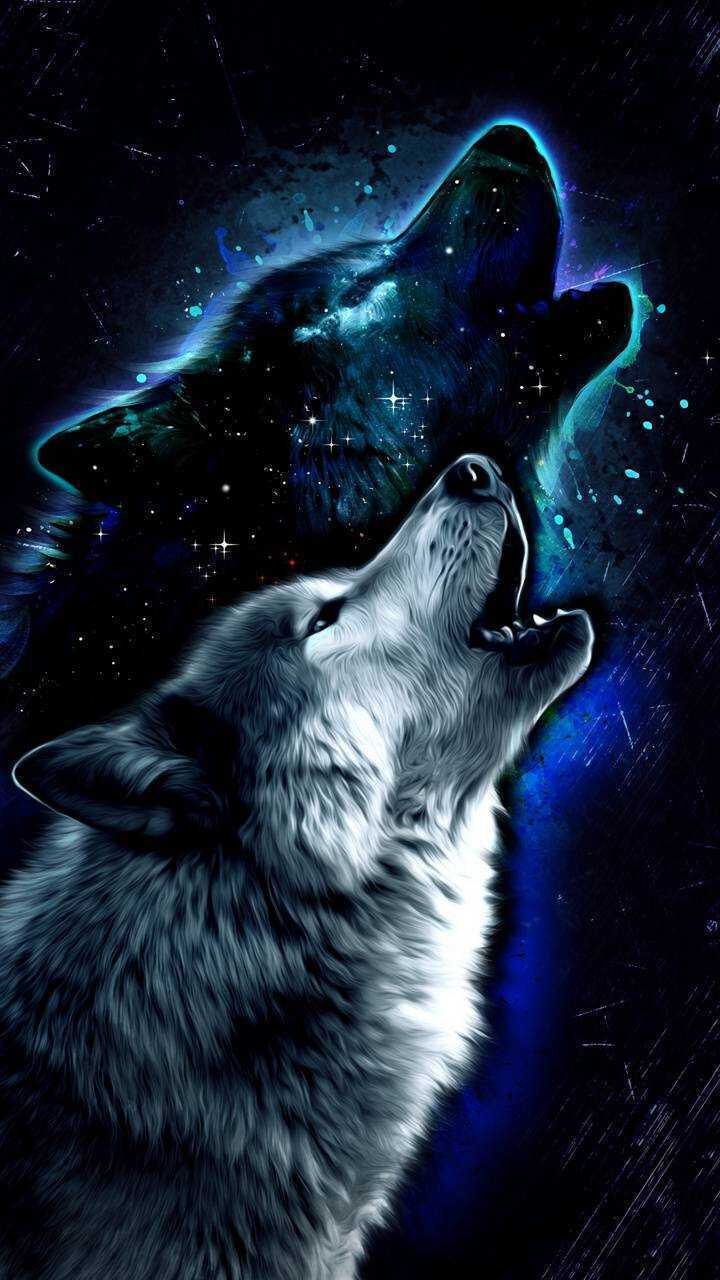 Wolf Galaxy Wallpaper