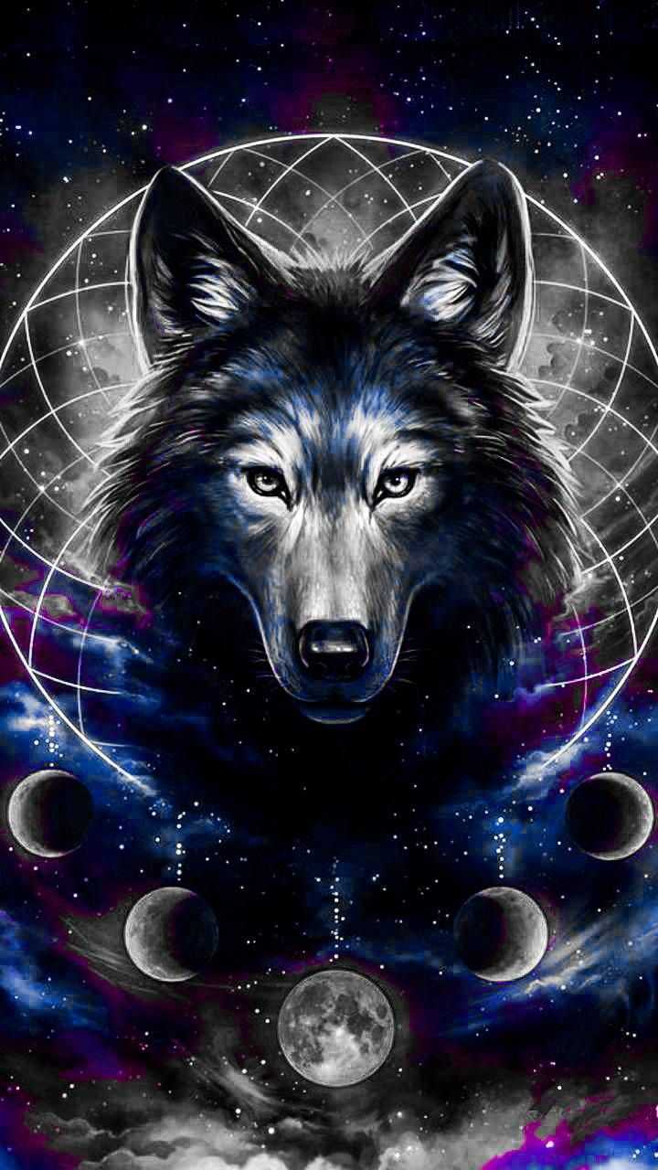 Wolf Iphone Wallpaper