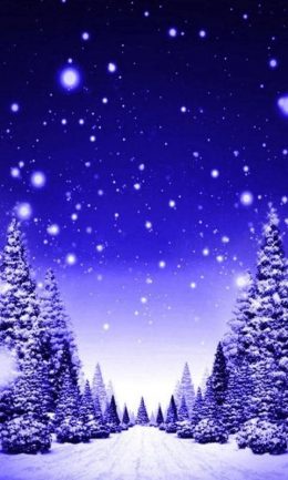 Xmas Wallpaper