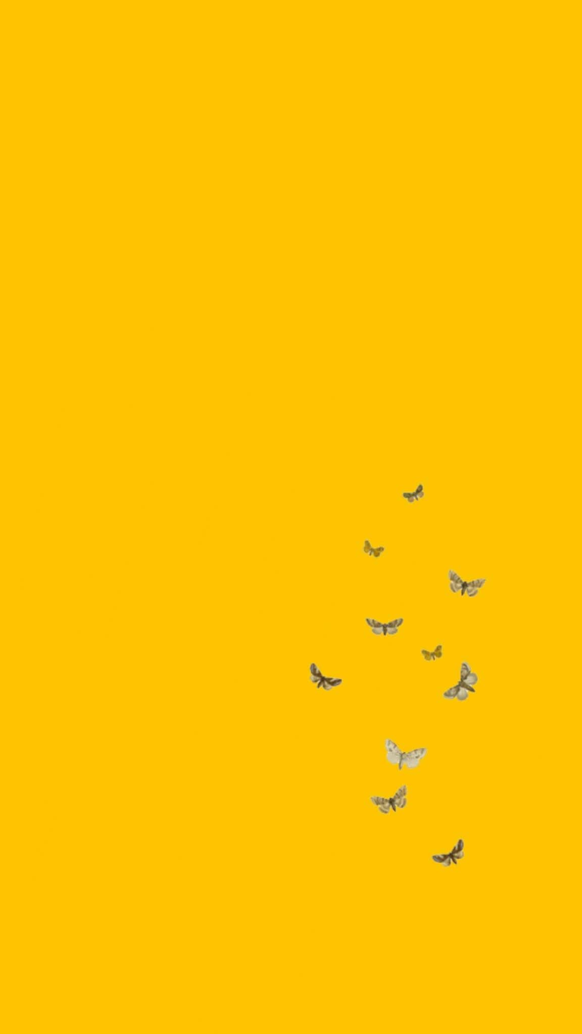 Yellow Wallpaper - NawPic